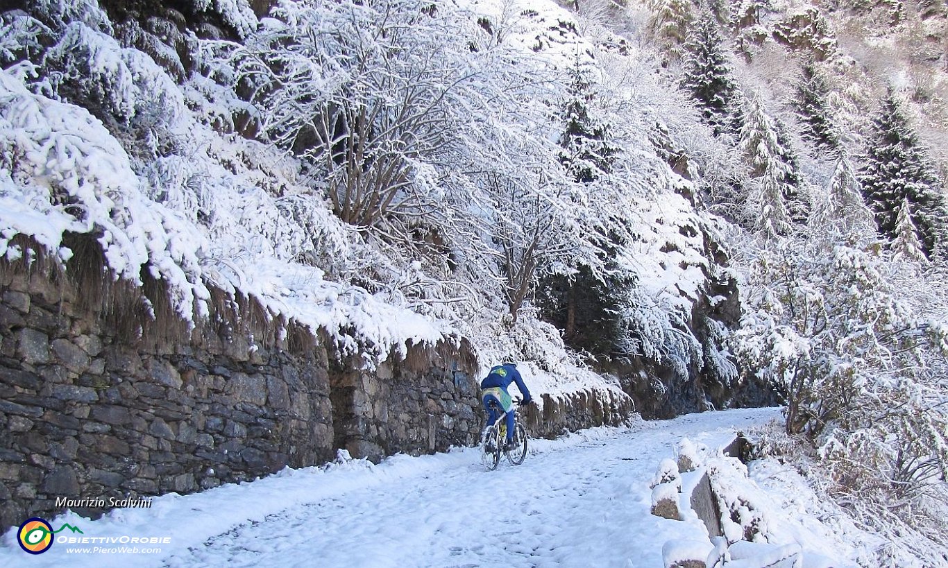 19 Qualcono sale in bicicletta....JPG